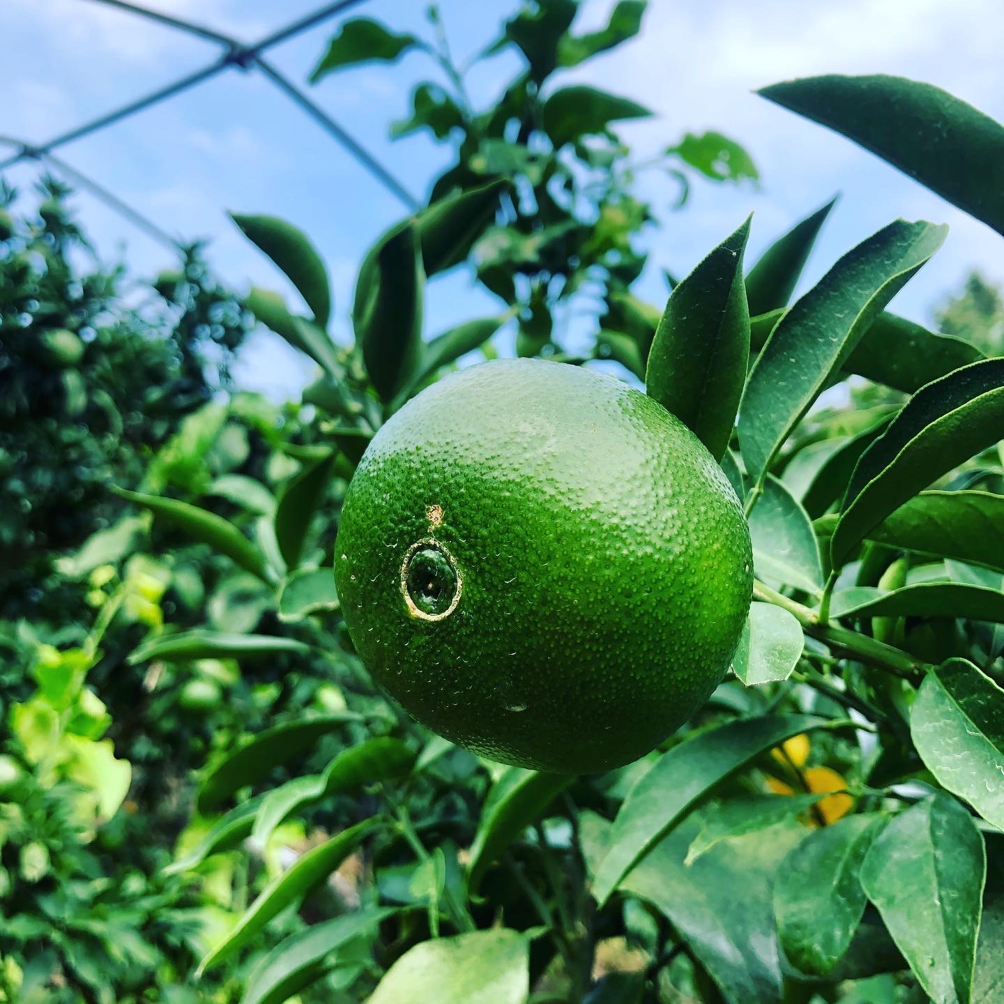 暑い夏を乗り越えて