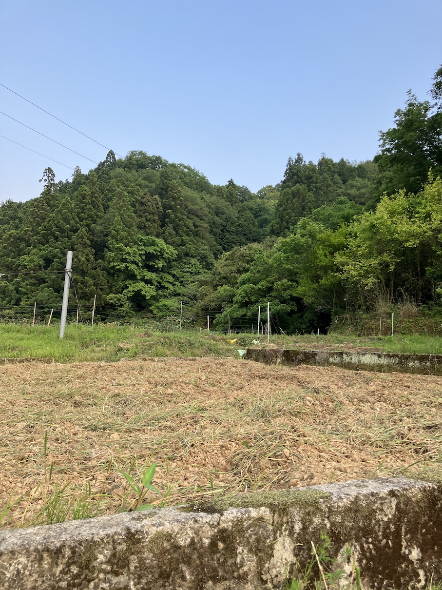 田植えの準備も🌾