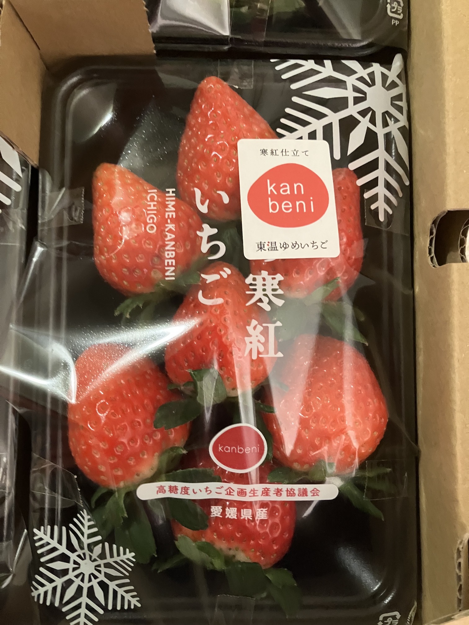 こちらの季節もやってきました🍓