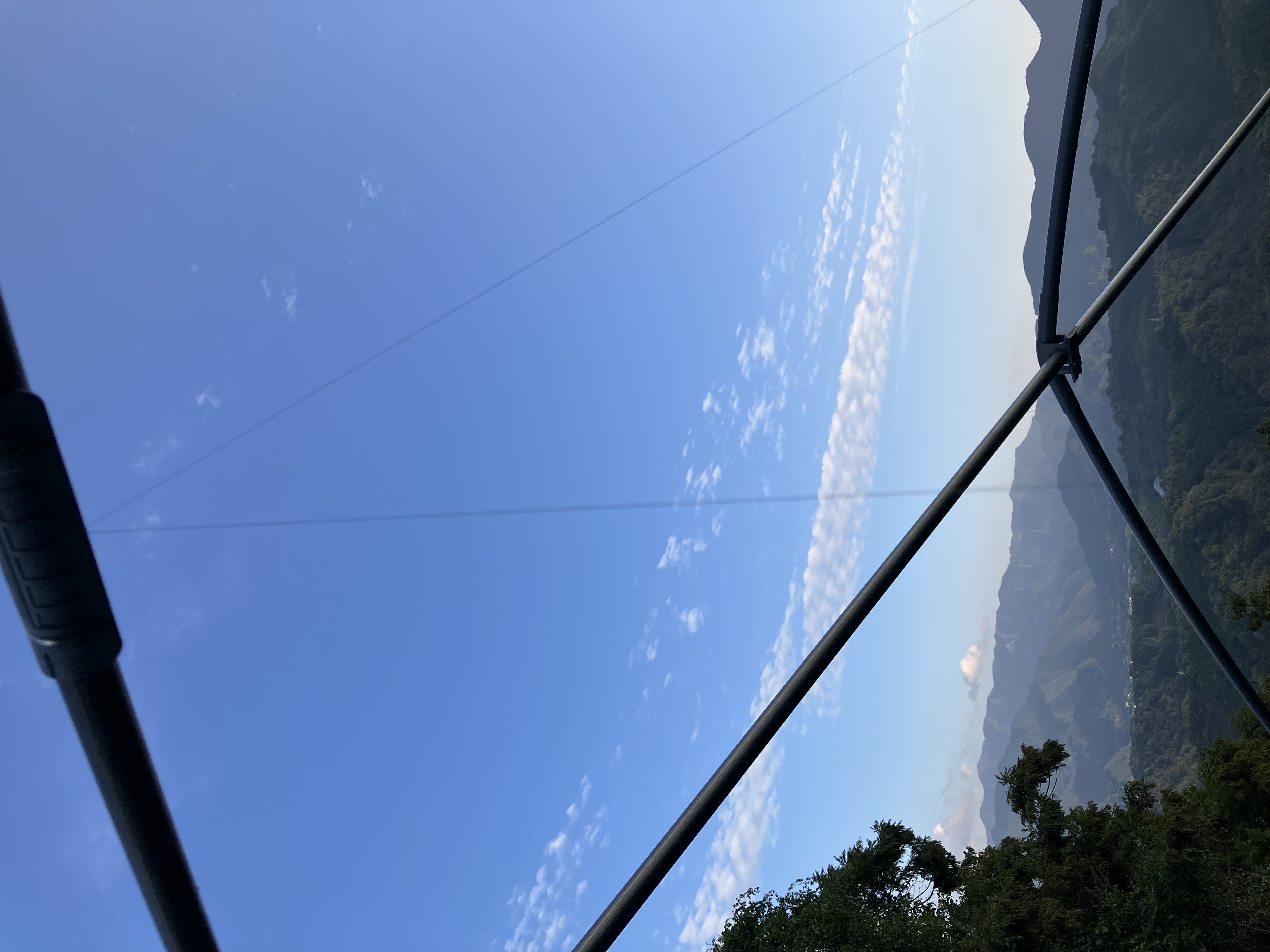 今年も来ないでね🐦‍⬛🍊