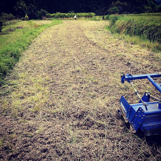 田植えがスタート