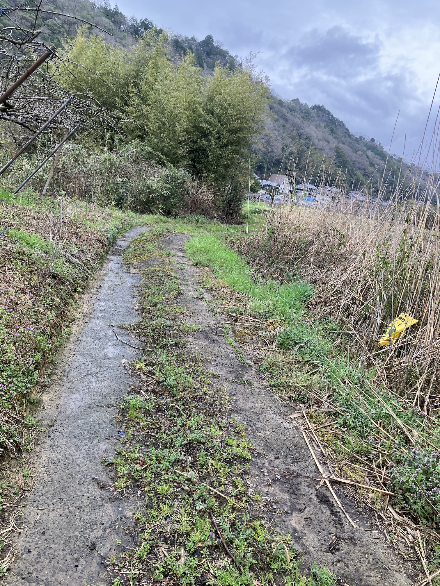 恵みの雨🥺