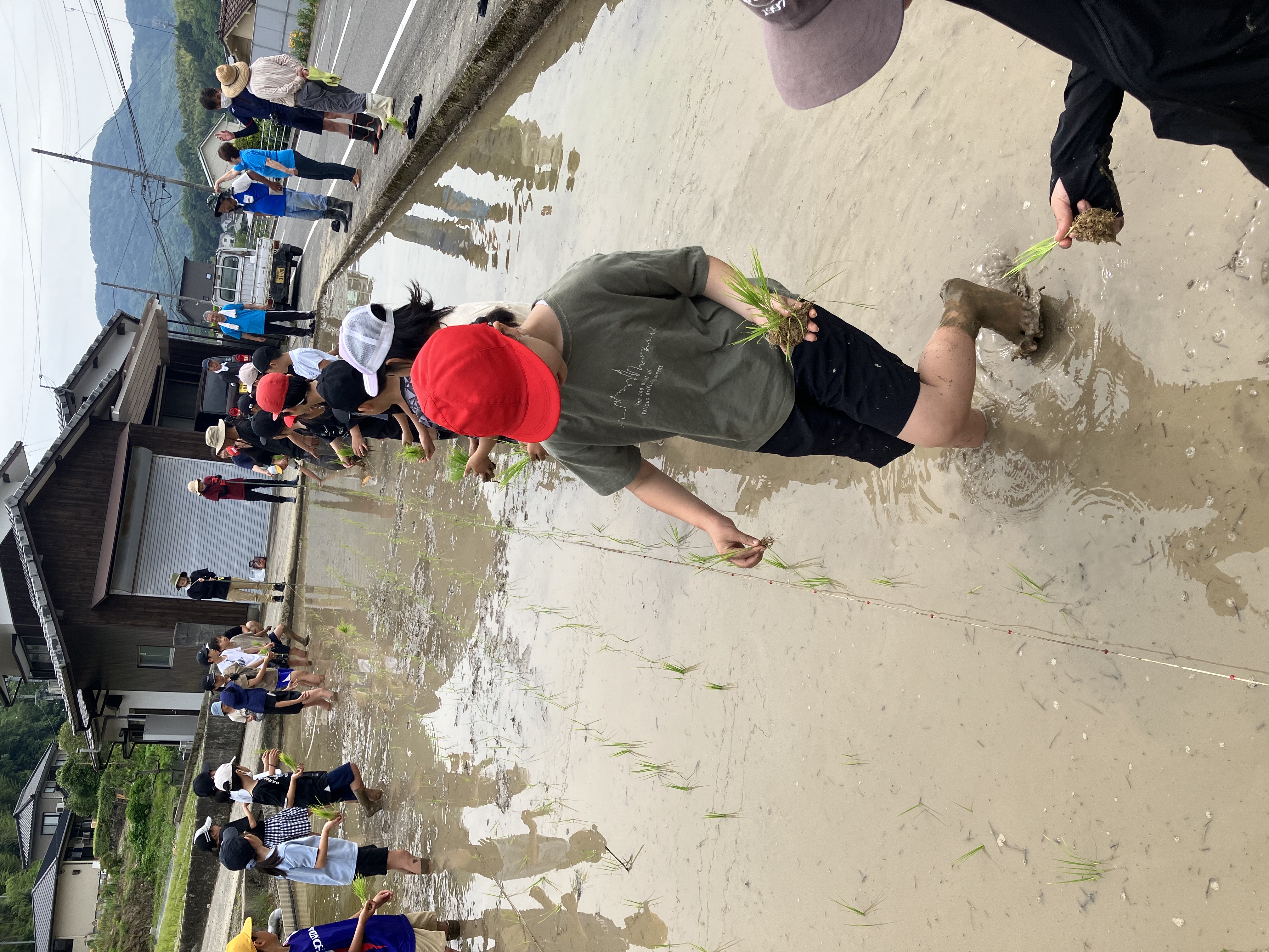 子供達の田植え体験✨