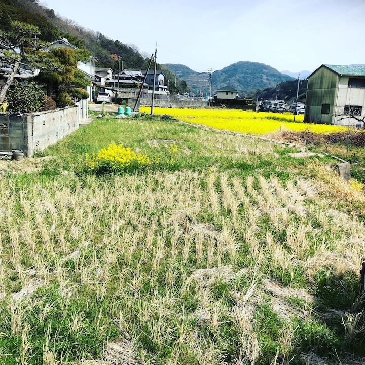 田植えの準備スタート🌾