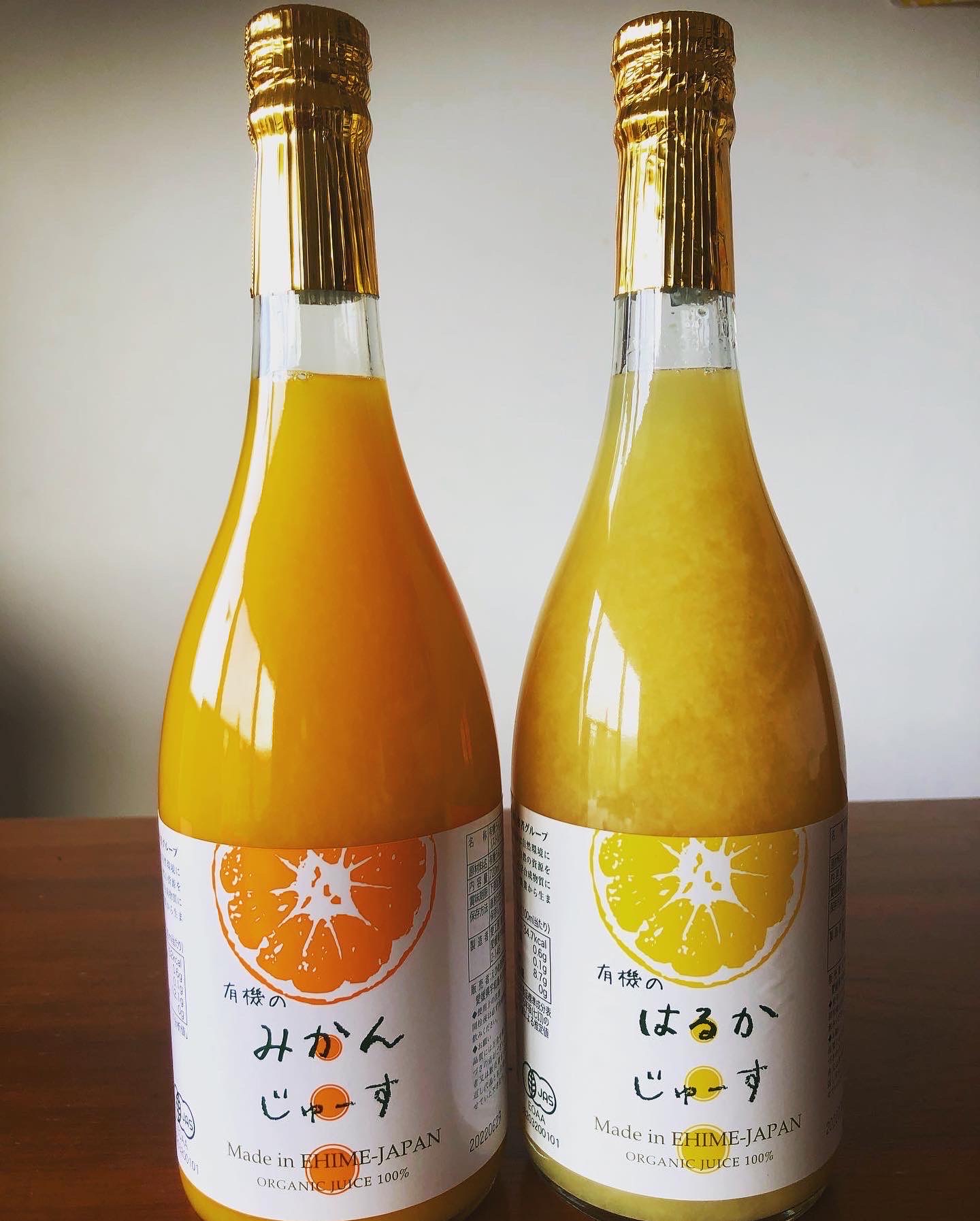 お中元のご紹介🍹