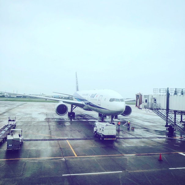 明日5/1〜7日まで日本橋三越本店での催事スタート！！