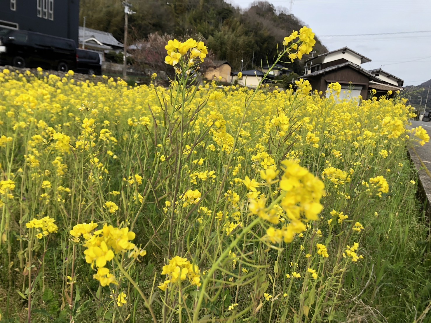 汗ばむ陽気に✨