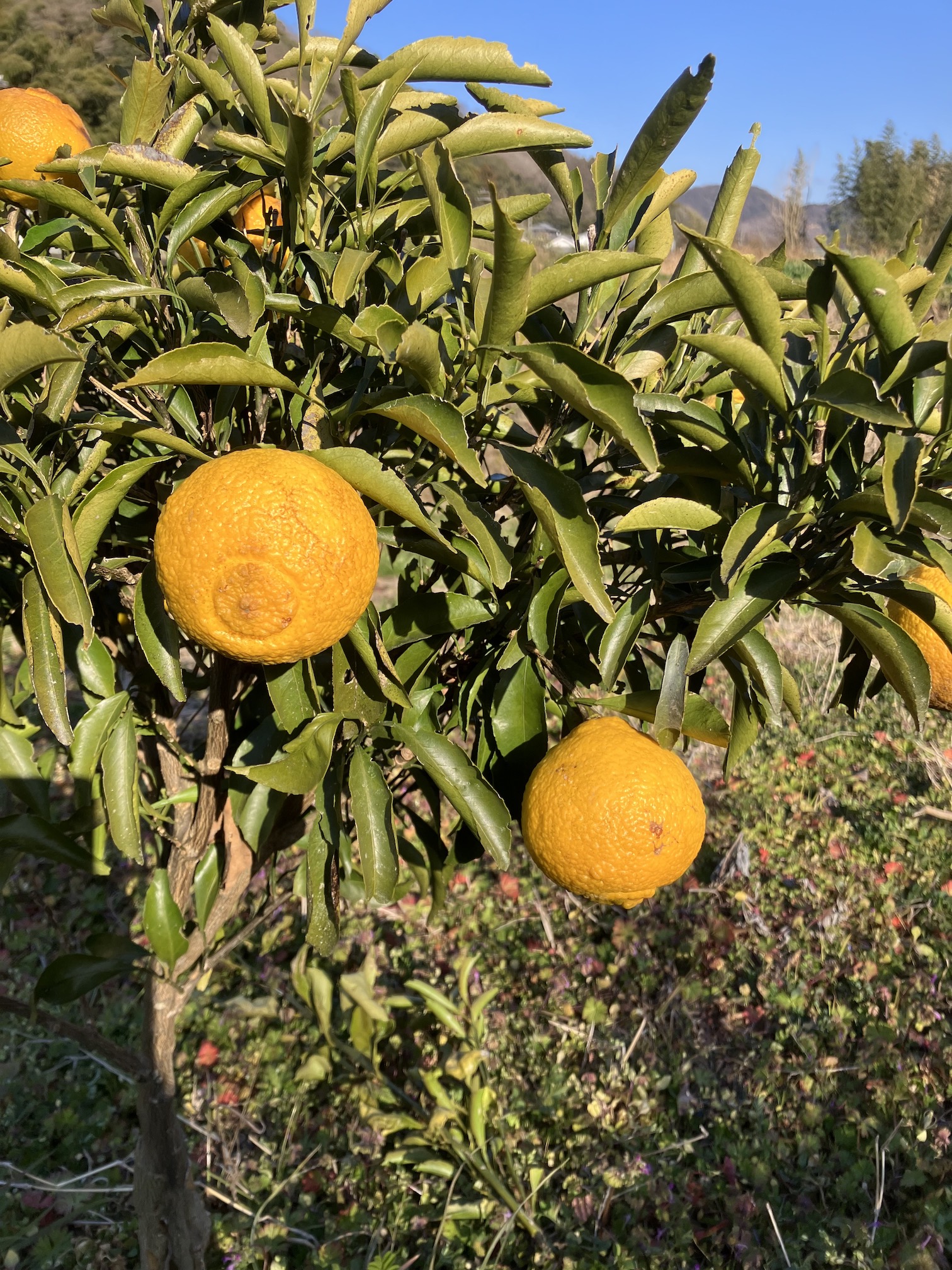 はるかちゃんも少しだけ✨