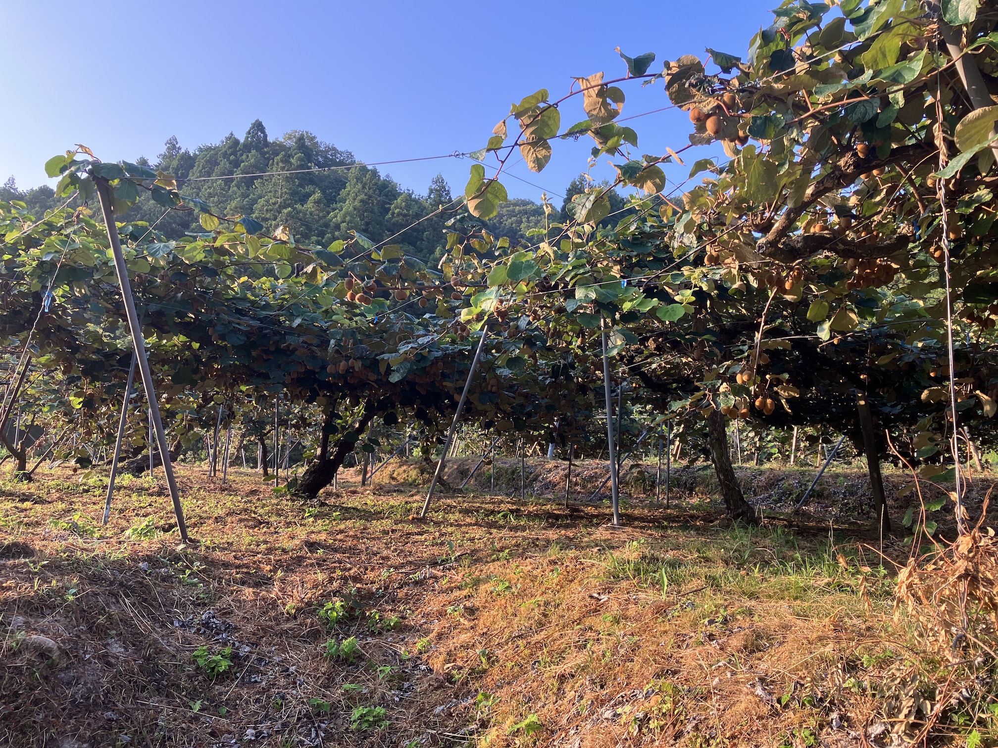 視界良好!
