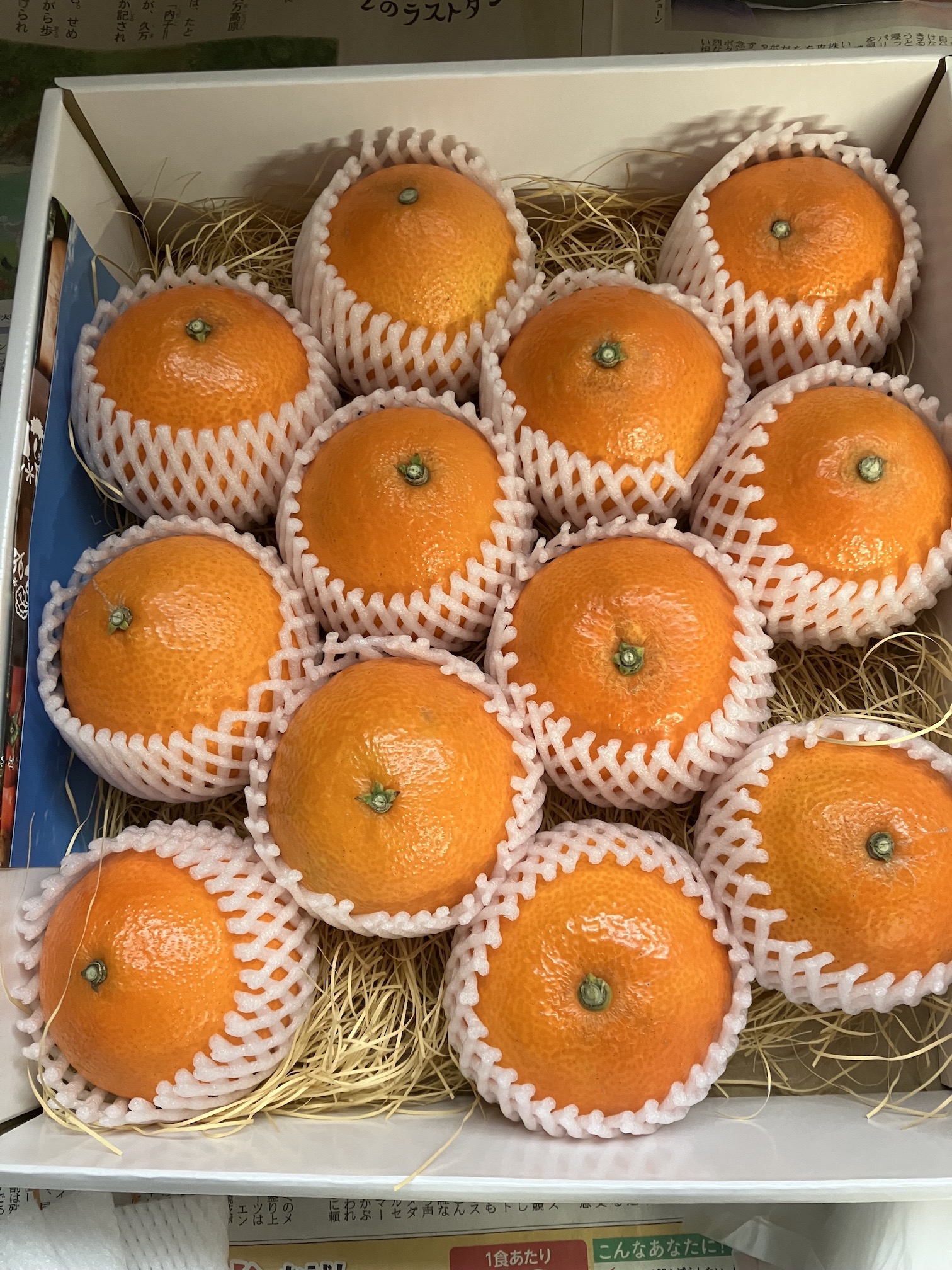 メリークリスマス🎄🎅🎁🍊