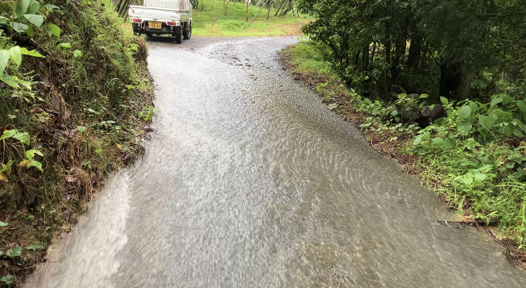 バケツををひっくり返してしまいました☔️🪣☔️