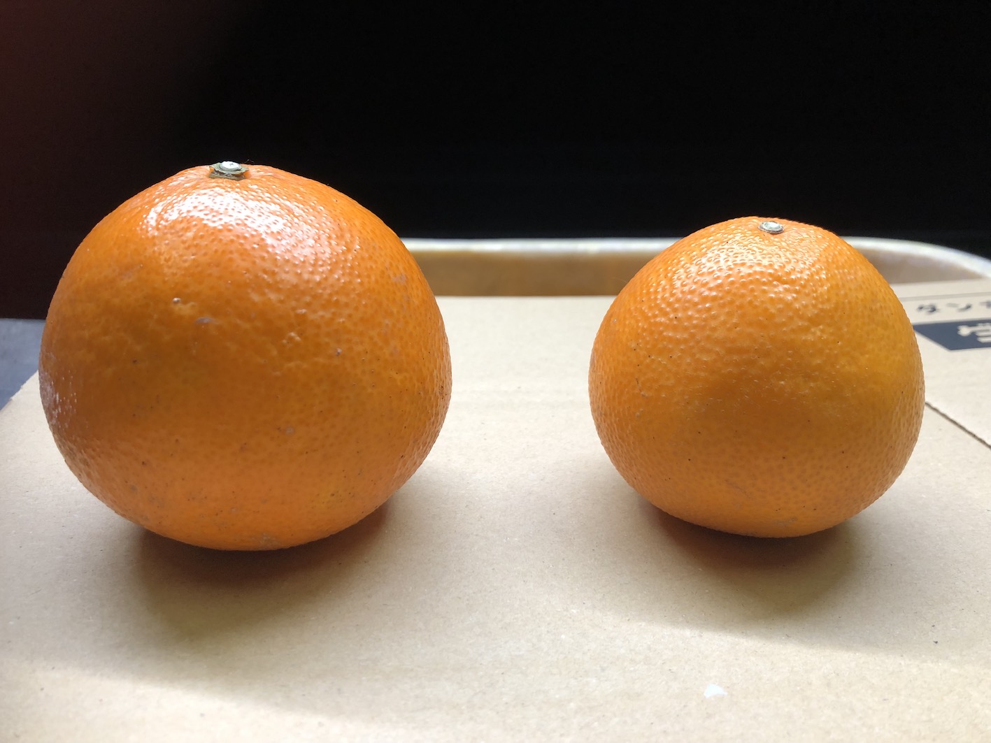 早速ありがとうございます🧑‍🌾🍊