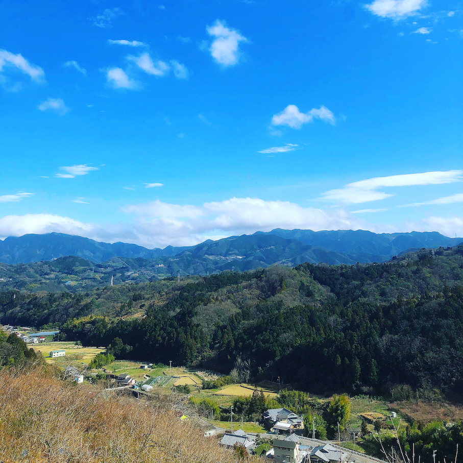 急に夏日⁉️👩‍🌾💦