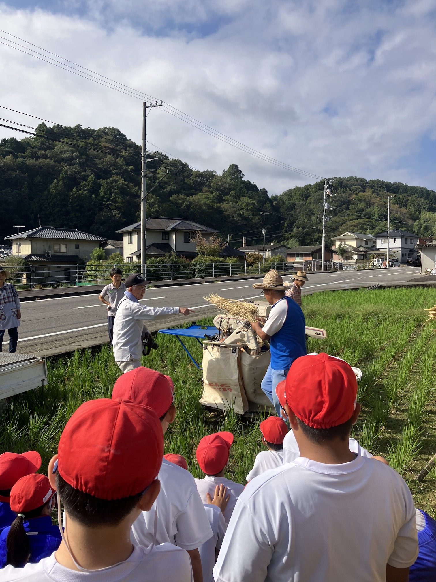 脱穀しておしまい🌾