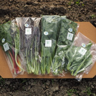 体の酸化を抑える野菜
