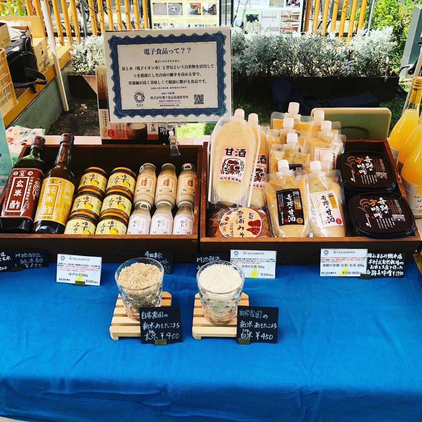 発酵食品が人気！