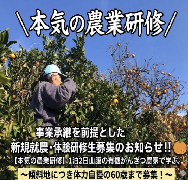 最終のご案内！有機かんきつ農園で学ぶ、本気の農業体験研修