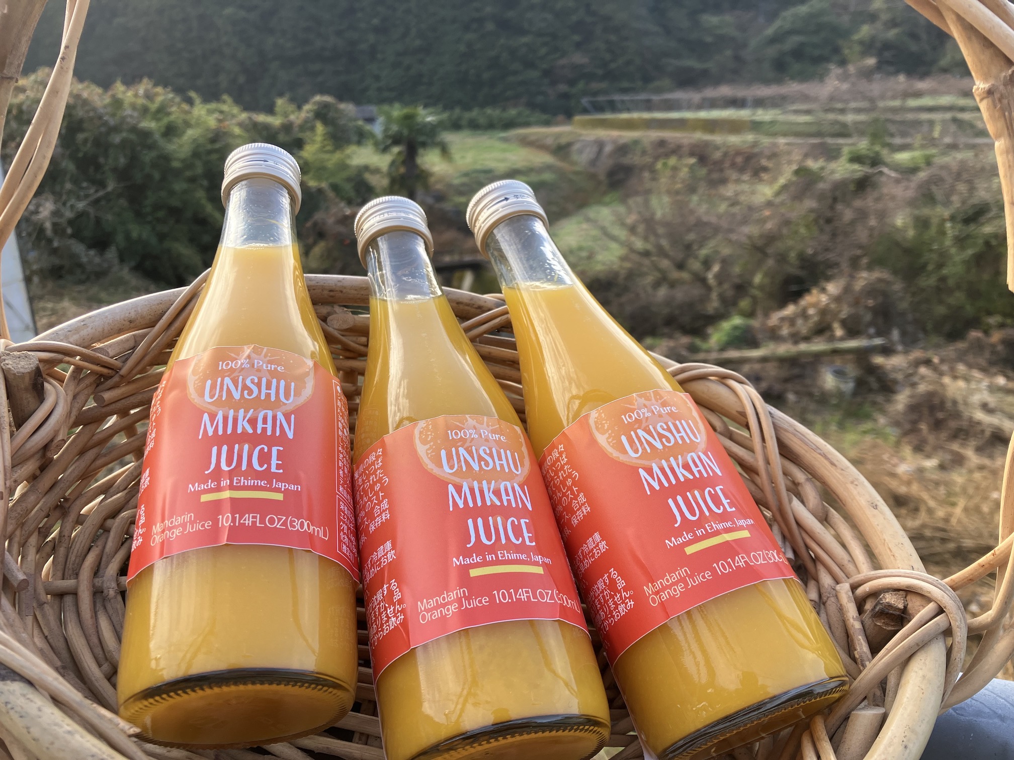 嬉しい小瓶タイプが数量限定で販売🍊