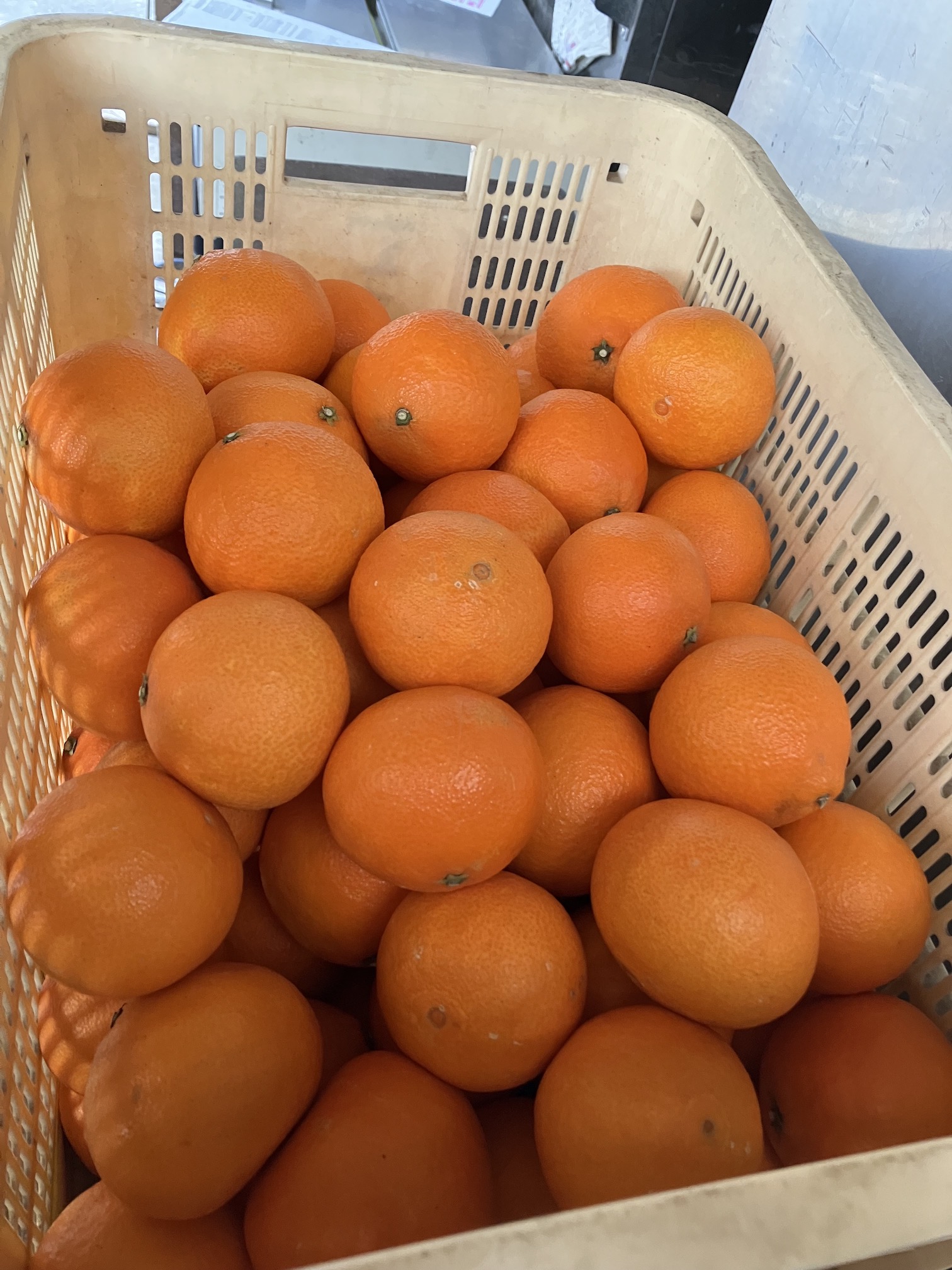 年始のお届けも🙆‍♂️🚛🍊✨
