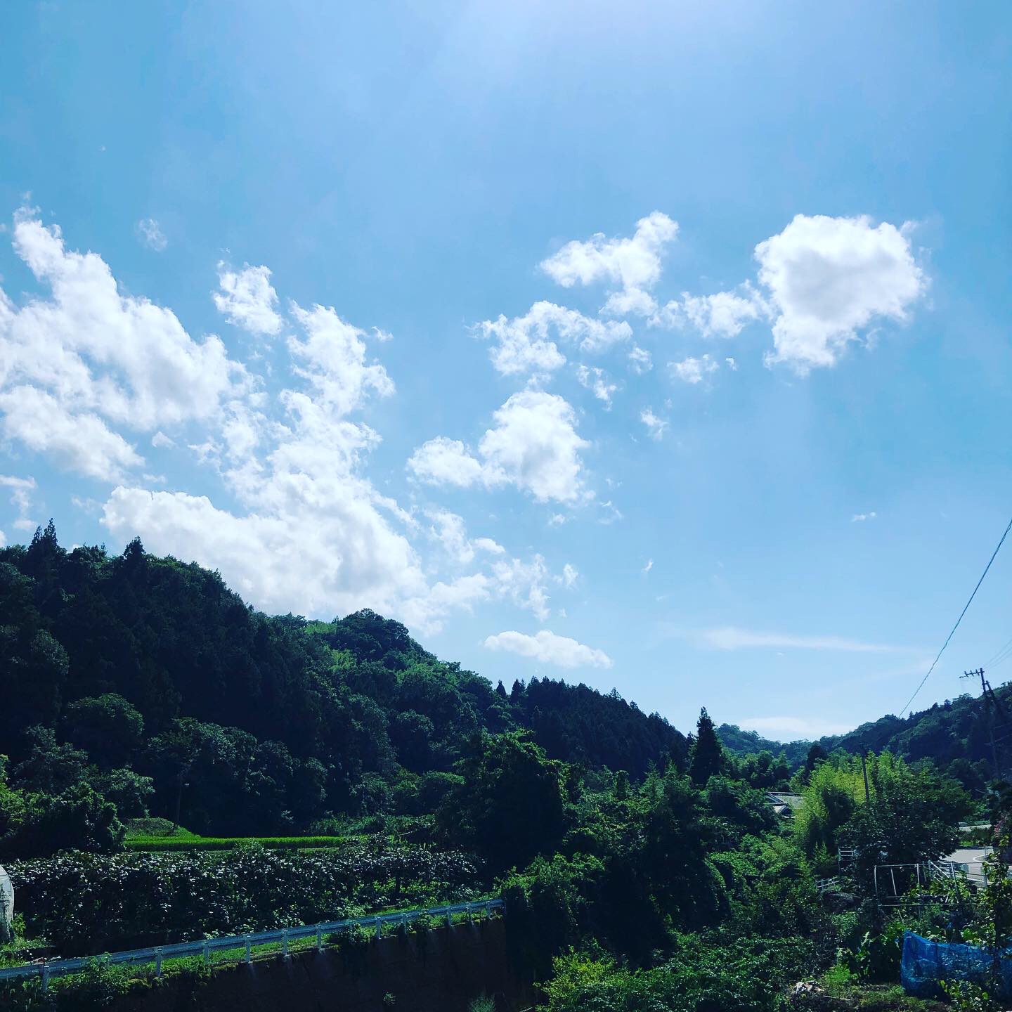 たまには上を見上げてみては