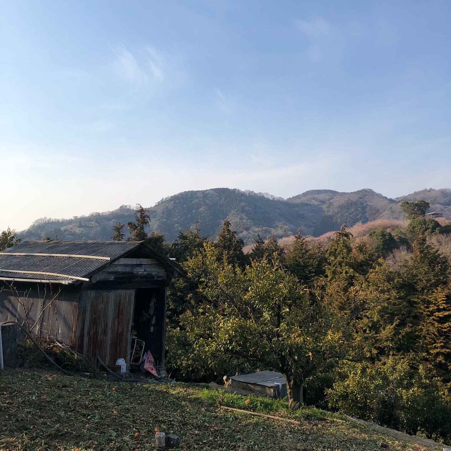 いよいよ暖かくなってきました✨