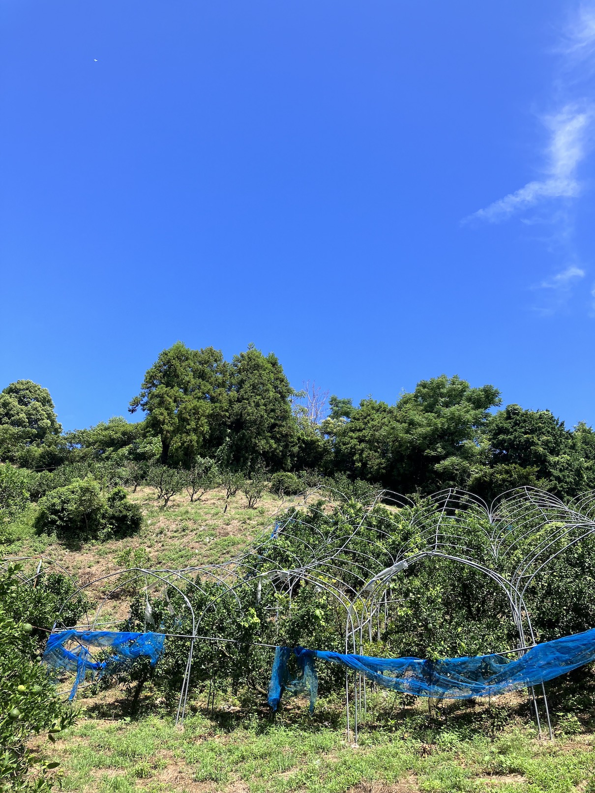 大きな被害も無く立ち去りました🌪️