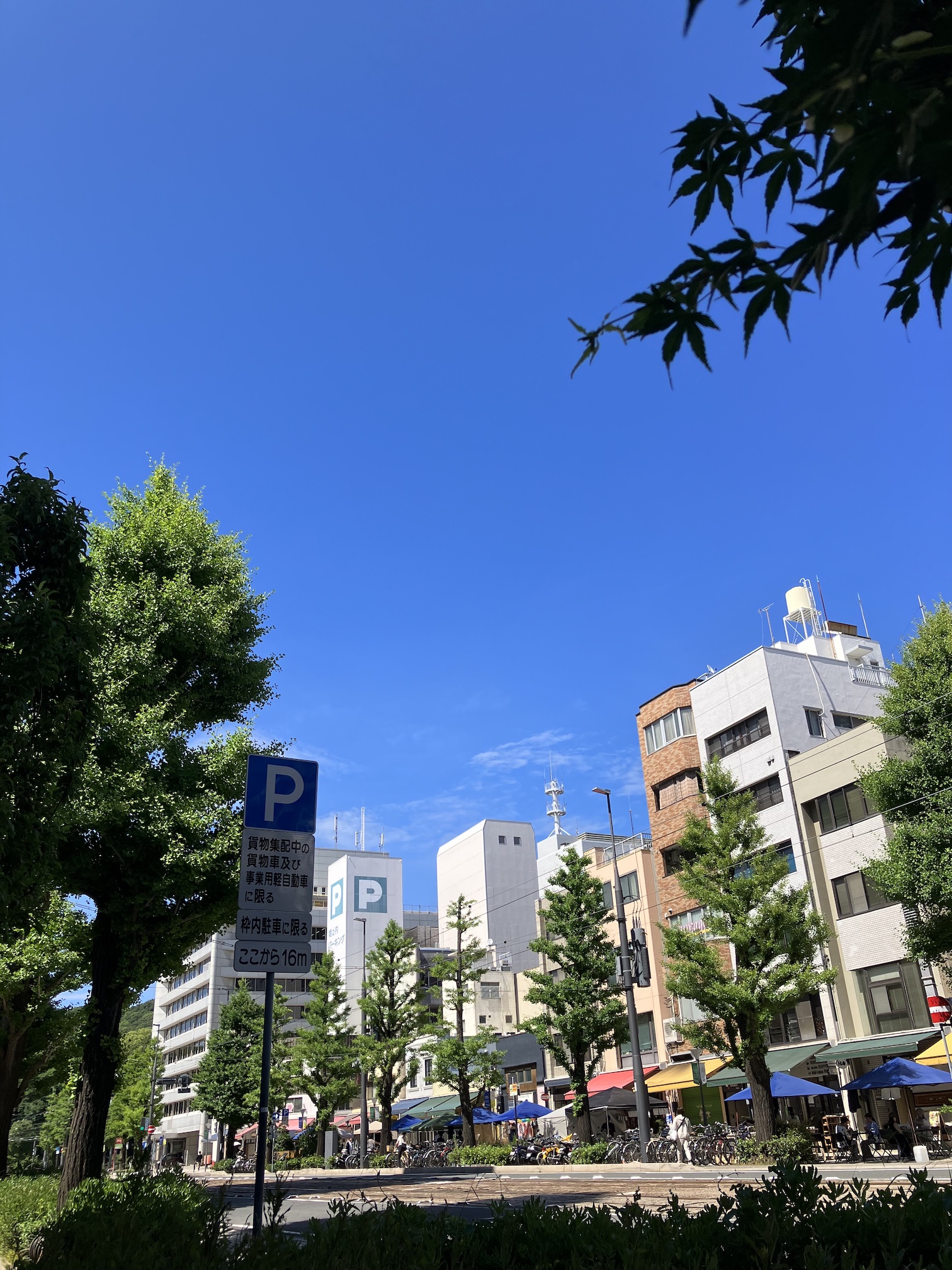 梅雨は明けたのでしょうか(　ﾟдﾟ)