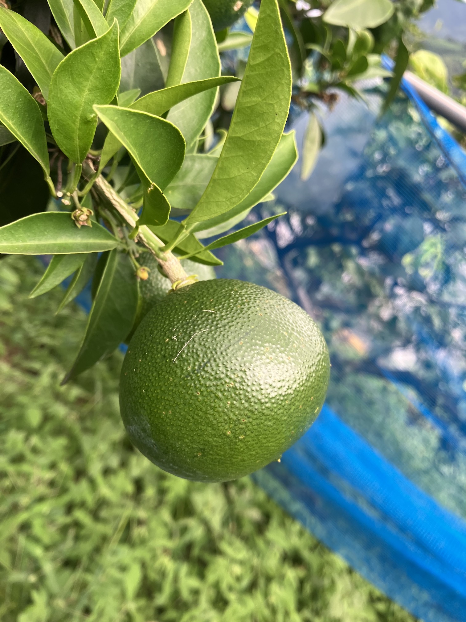 今年もよろしくお願い致します🤲🧑‍🌾