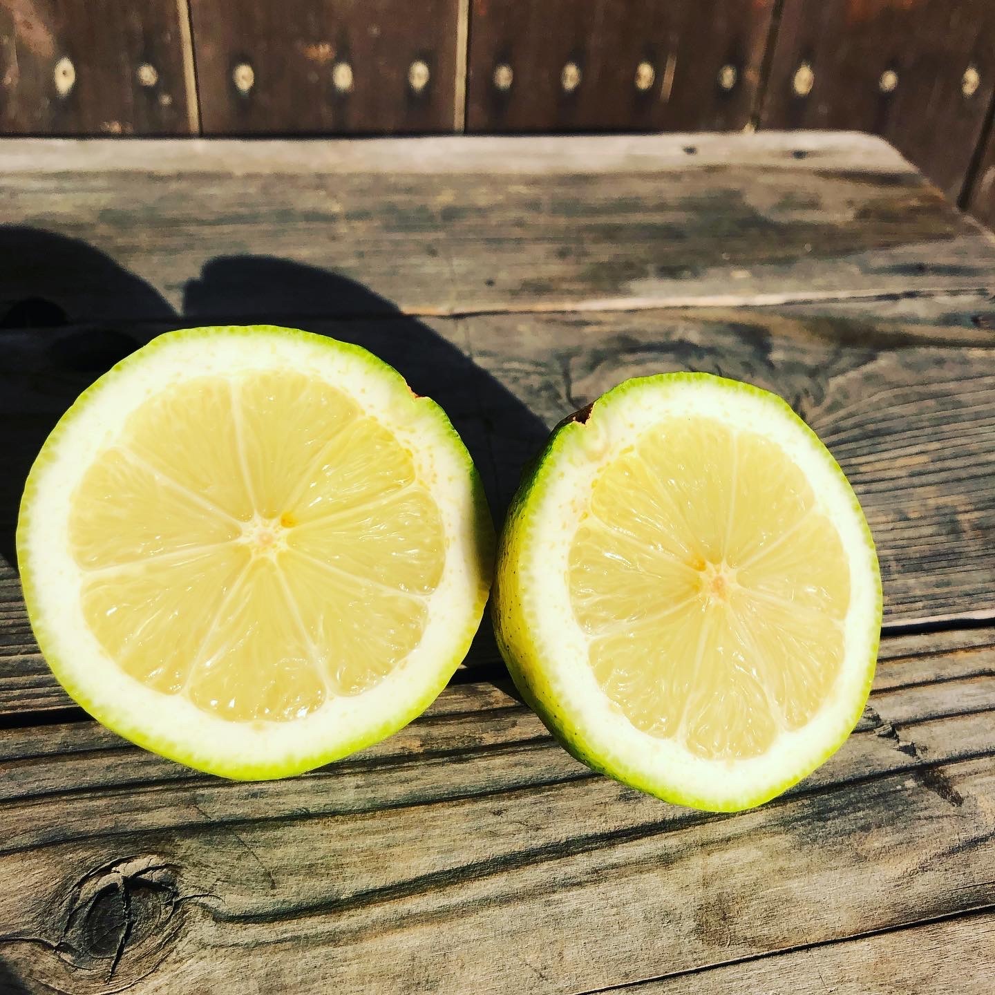 爽やかな香りに癒されております🍋