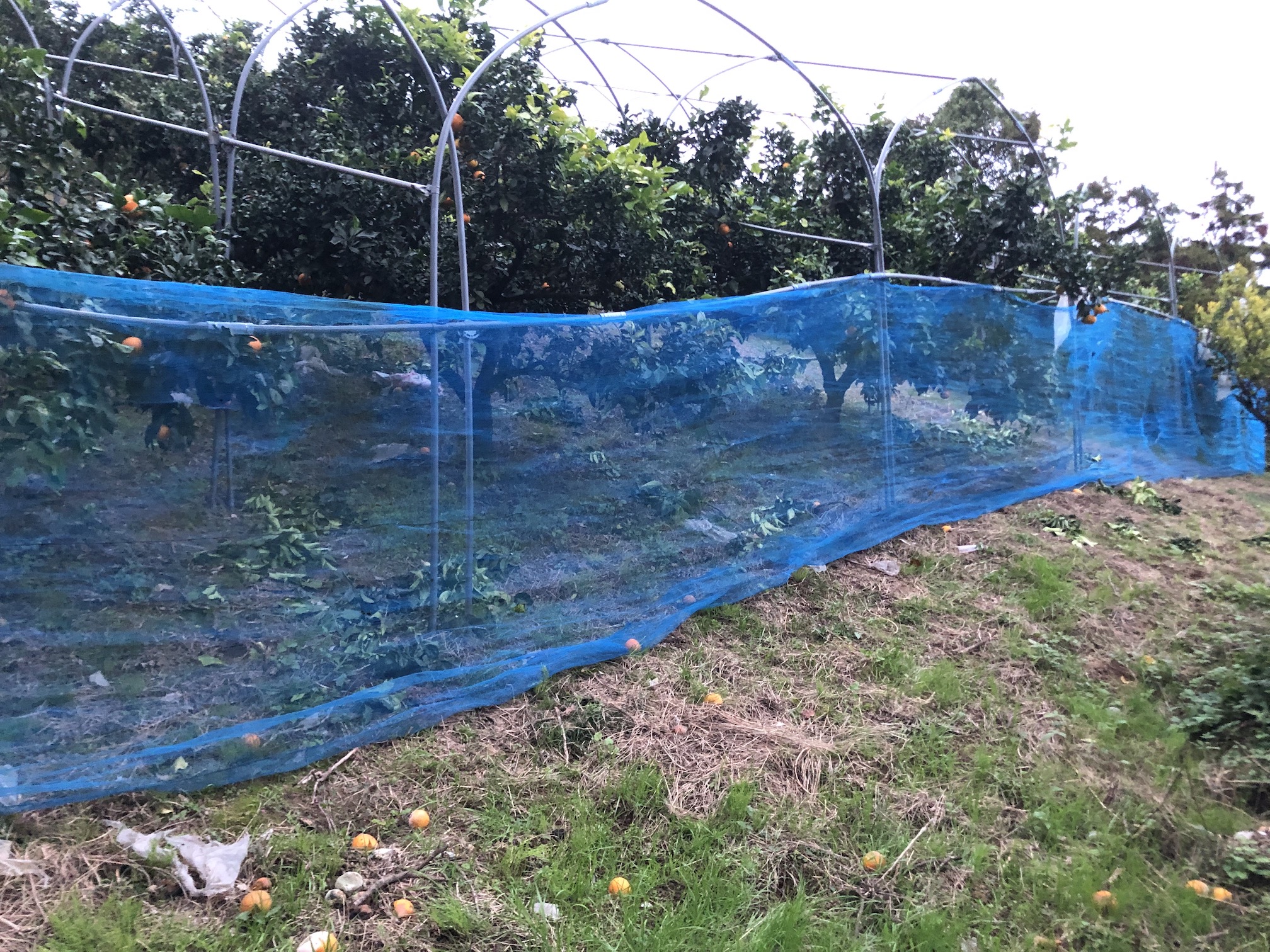 対策は入念に🧑‍🌾