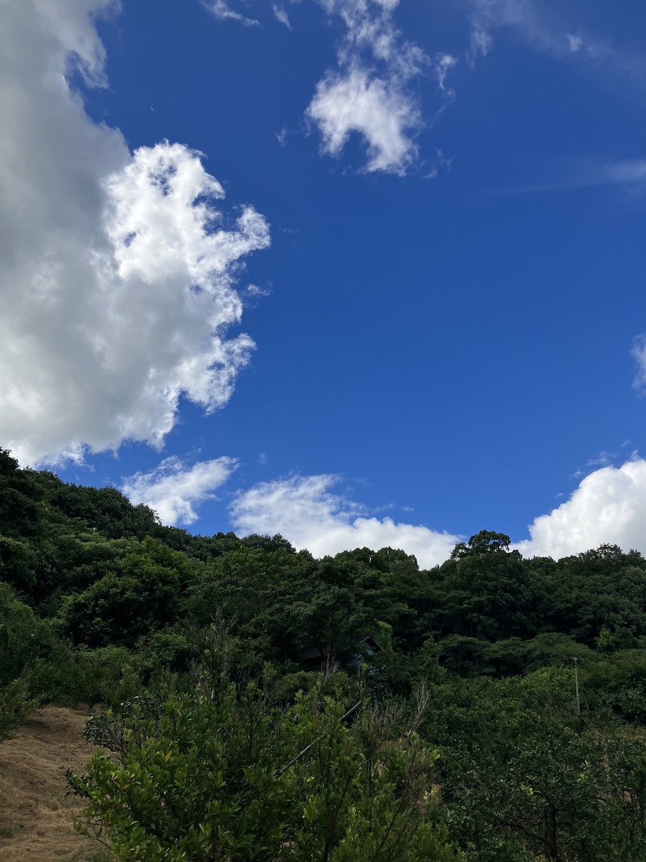 農作業も音楽があると🙆‍♂️🙆‍♀️