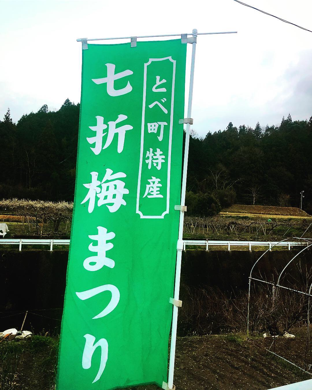 七折梅まつりがスタート