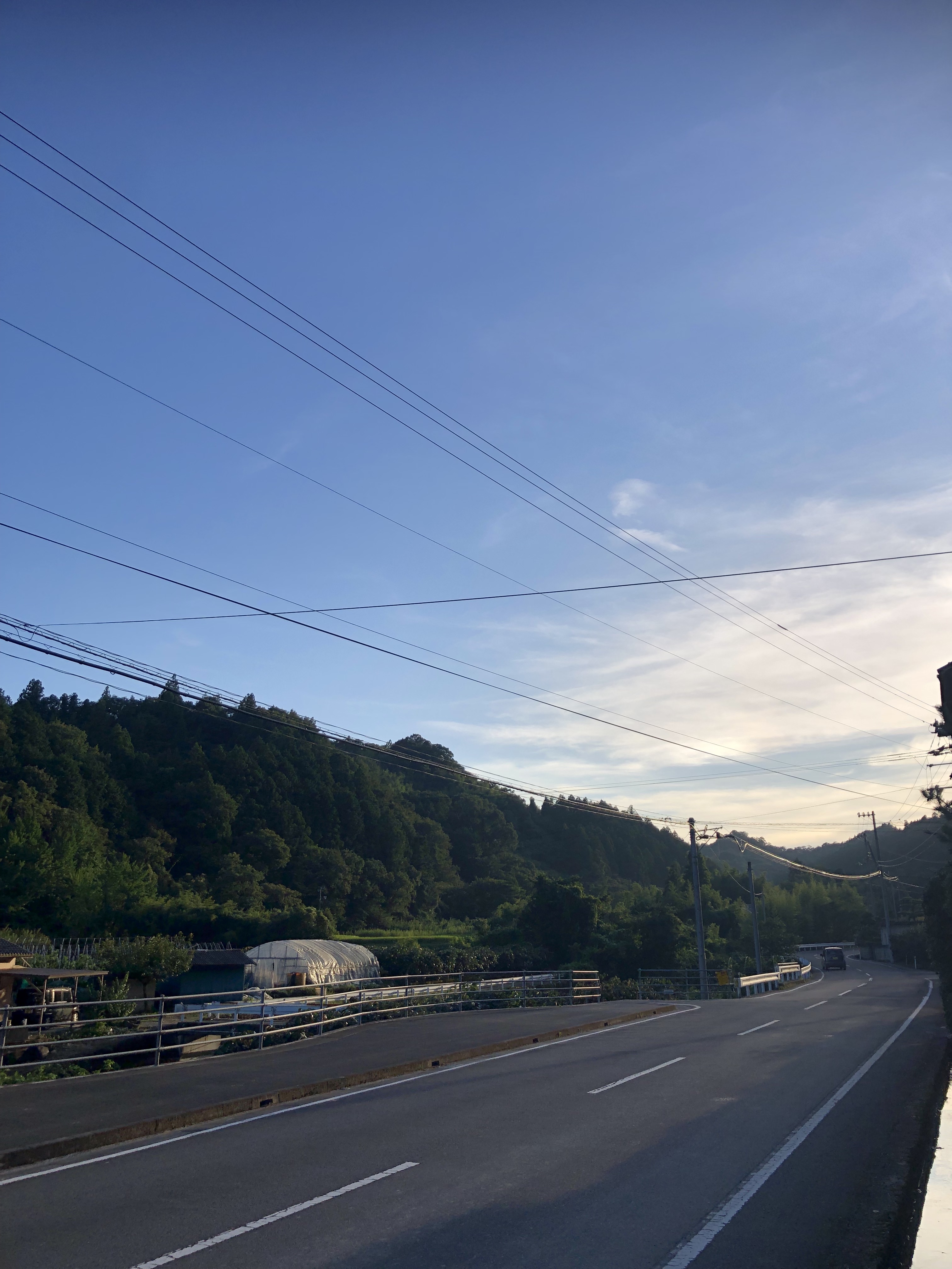 夏が帰ってきた☀️✨