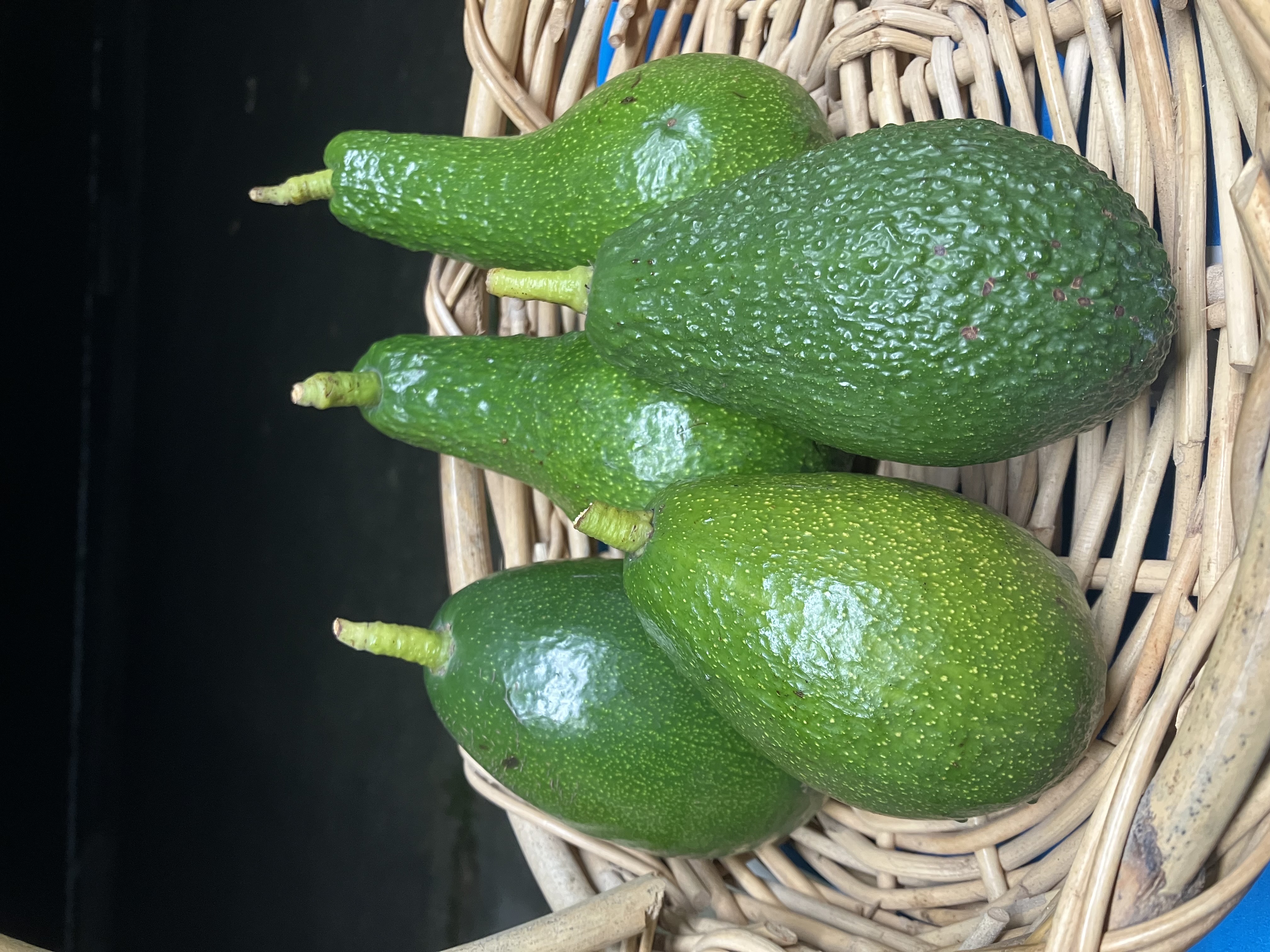 贅沢な4種食べ比べ🥑