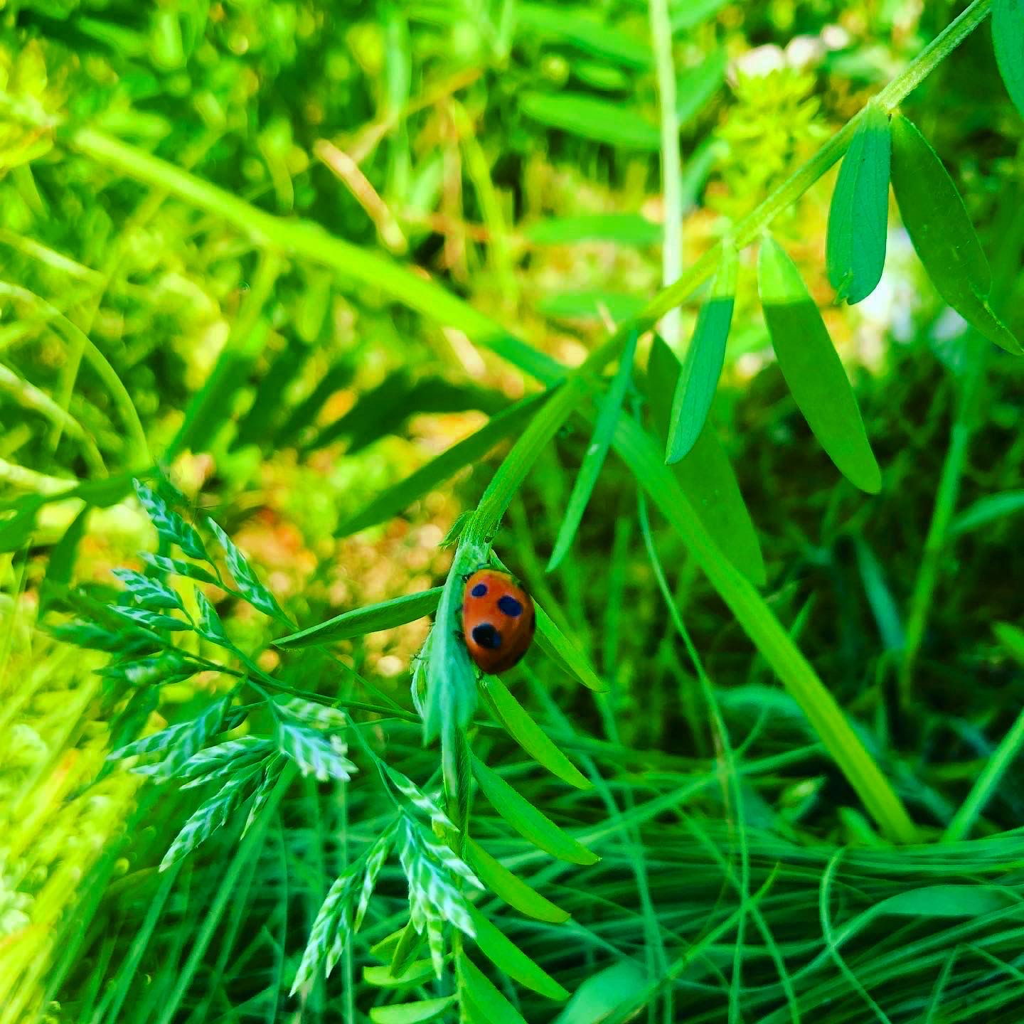 気を付けて作業しないと👩‍🌾