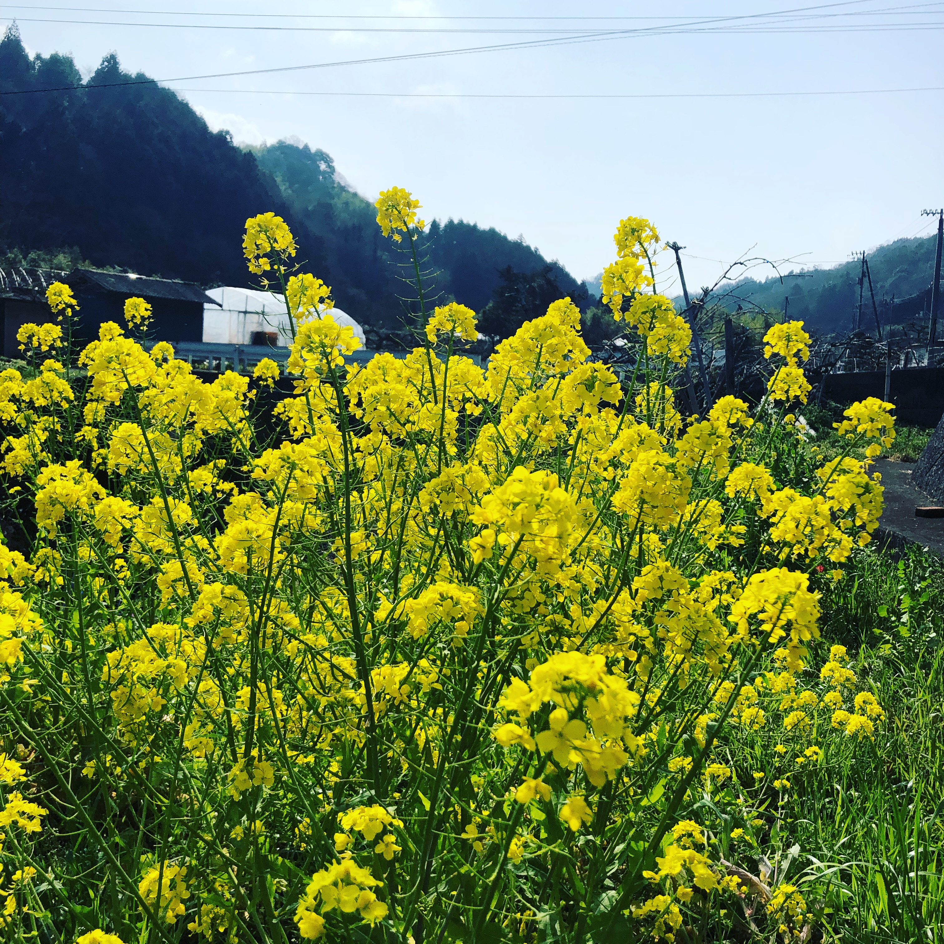 世間の動向とはうらはらに・・・