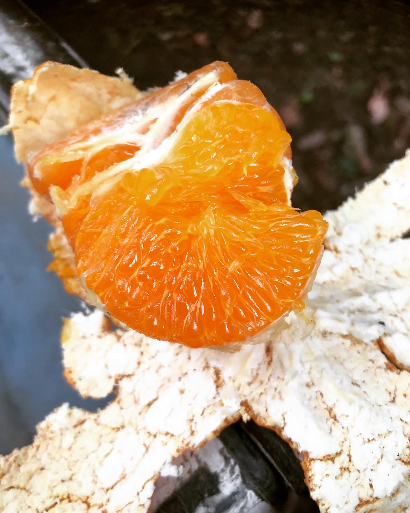 食べ応えのある食感🍊♪