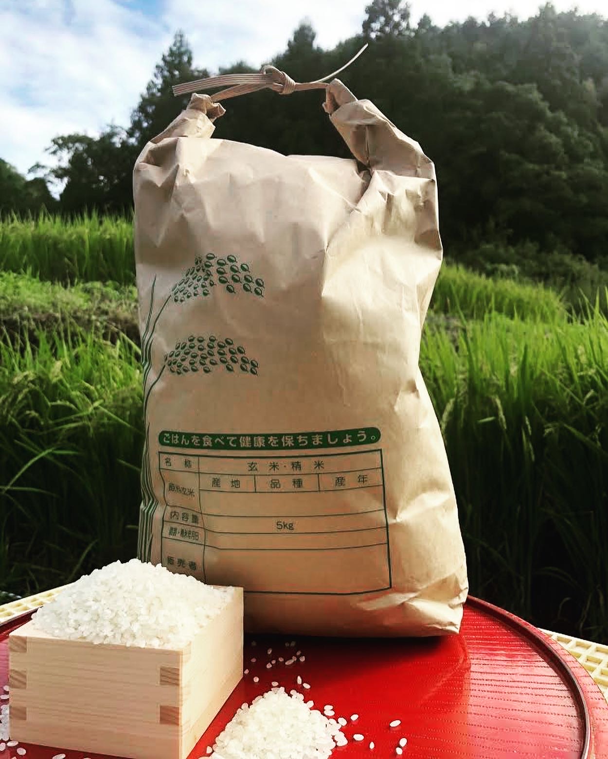 新米の販売開始🌾🍚