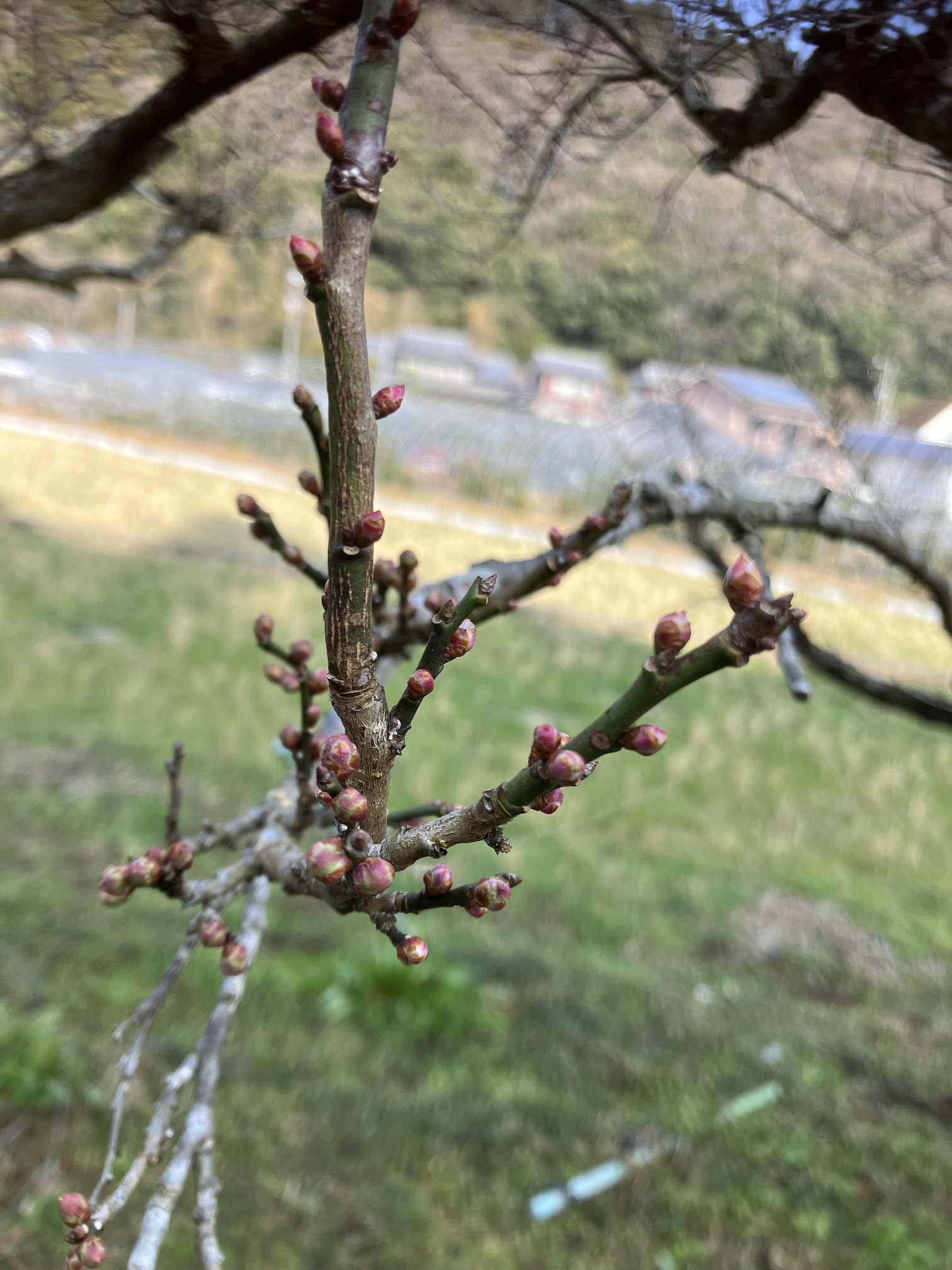 今年は期待しています🙌