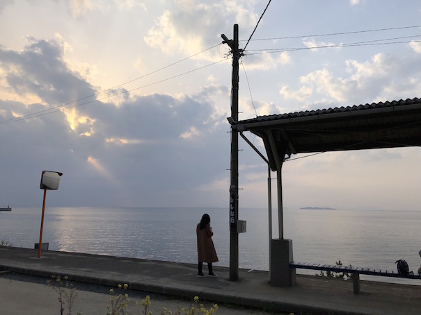 蒔いた種が徐々に芽を出し始めてきました