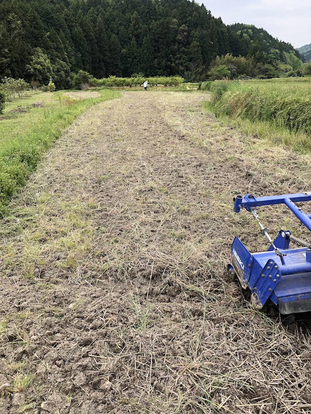 田植えの準備