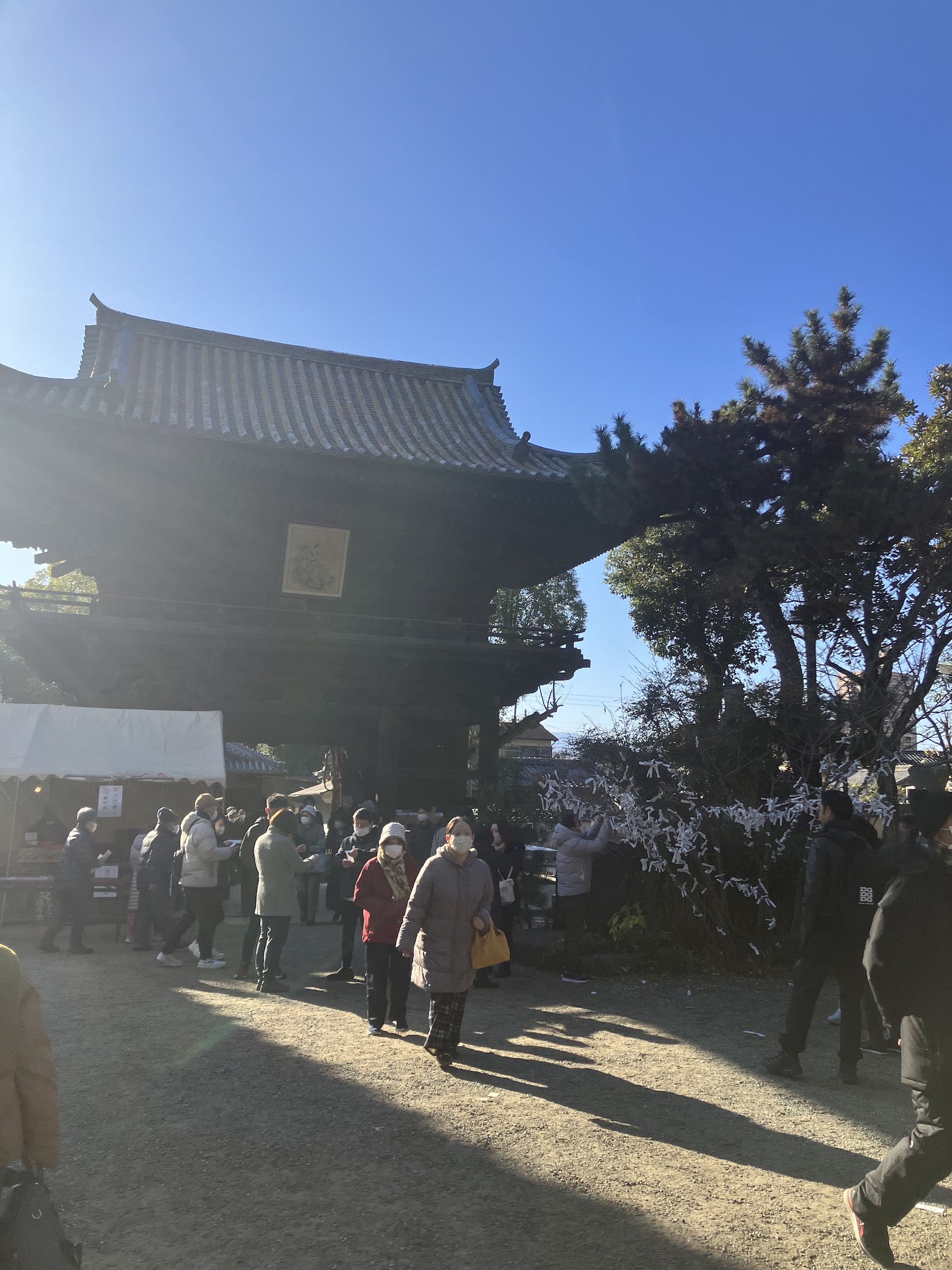 初詣いきましたかー🔔✨