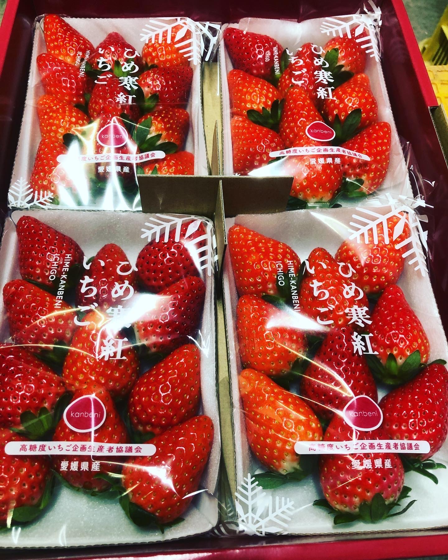年明けから販売予定🍓✨