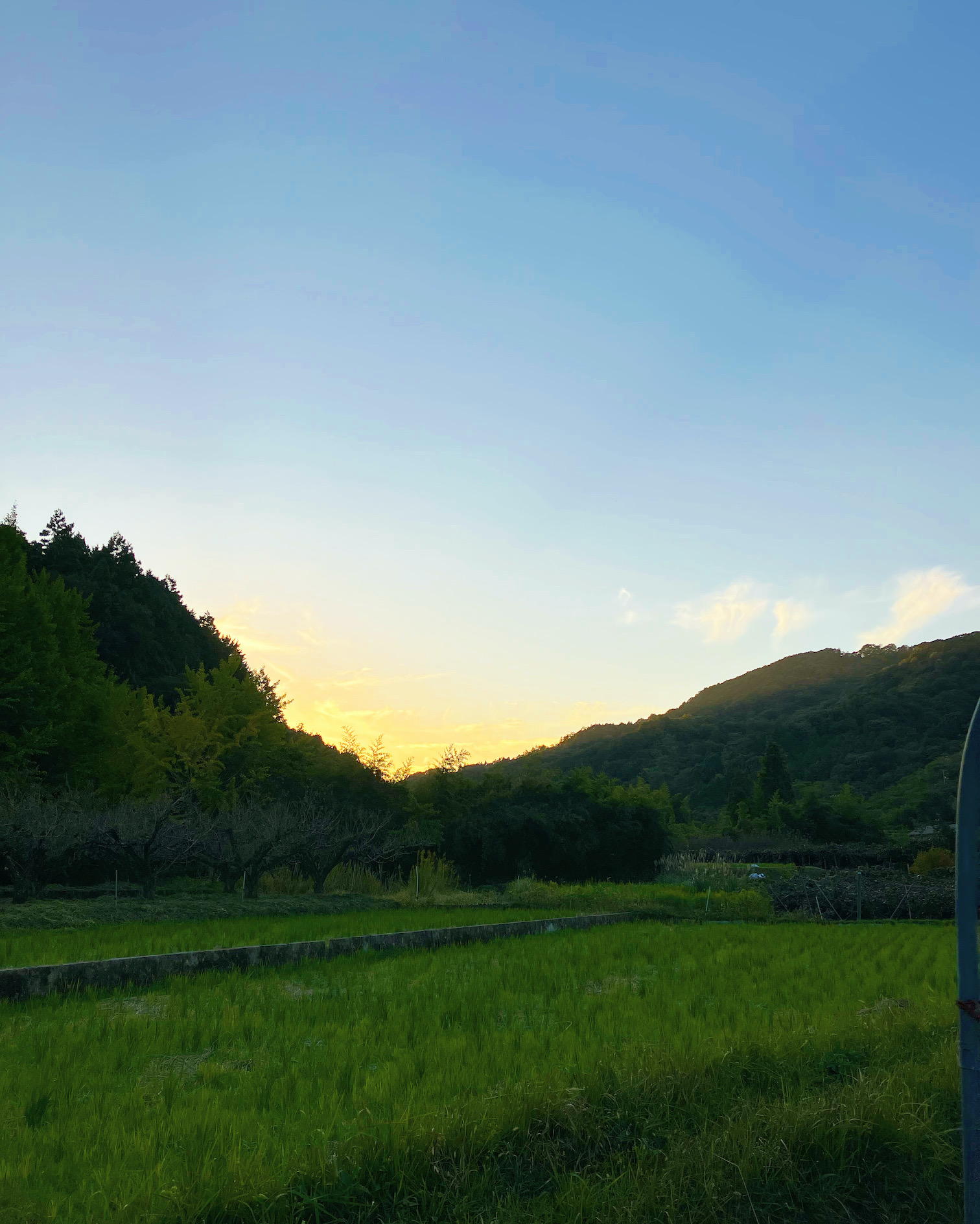陽が落ちるのが早くなりました🌇