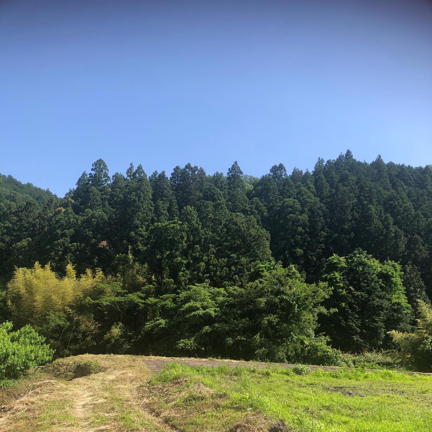 農作業日和👩‍🌾