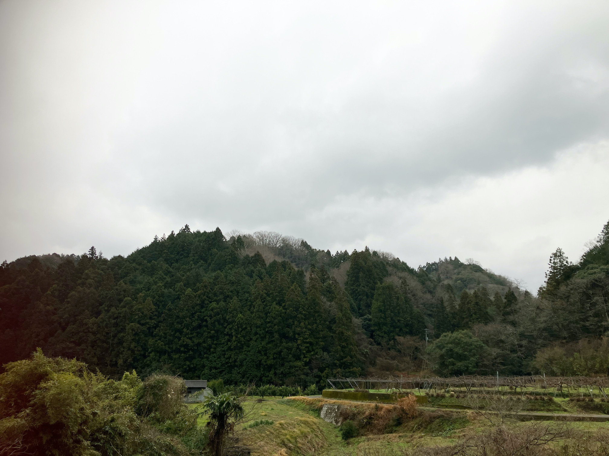 大寒波の前の静けさ🥶