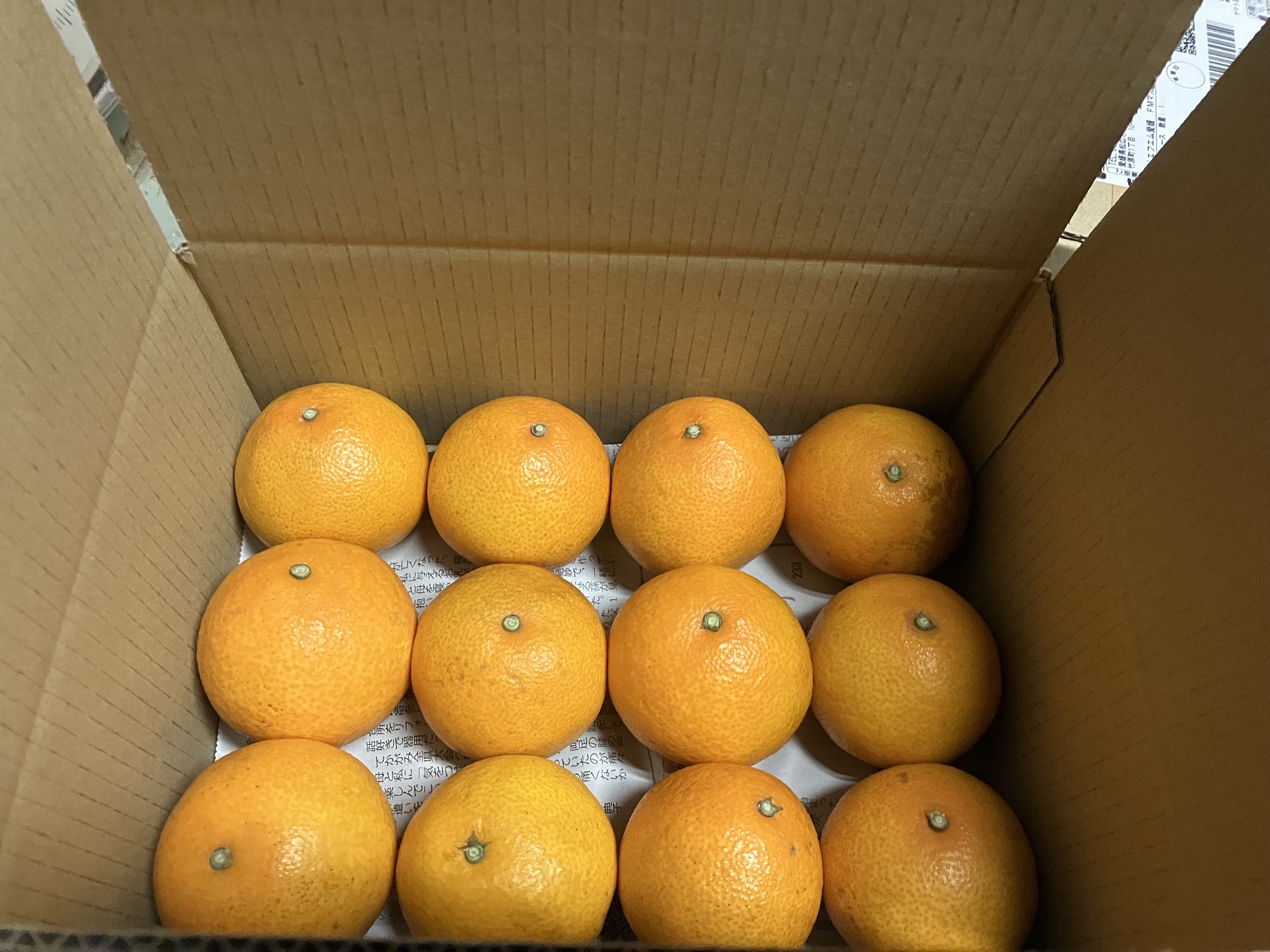 こんな感じで送っています🍊📦