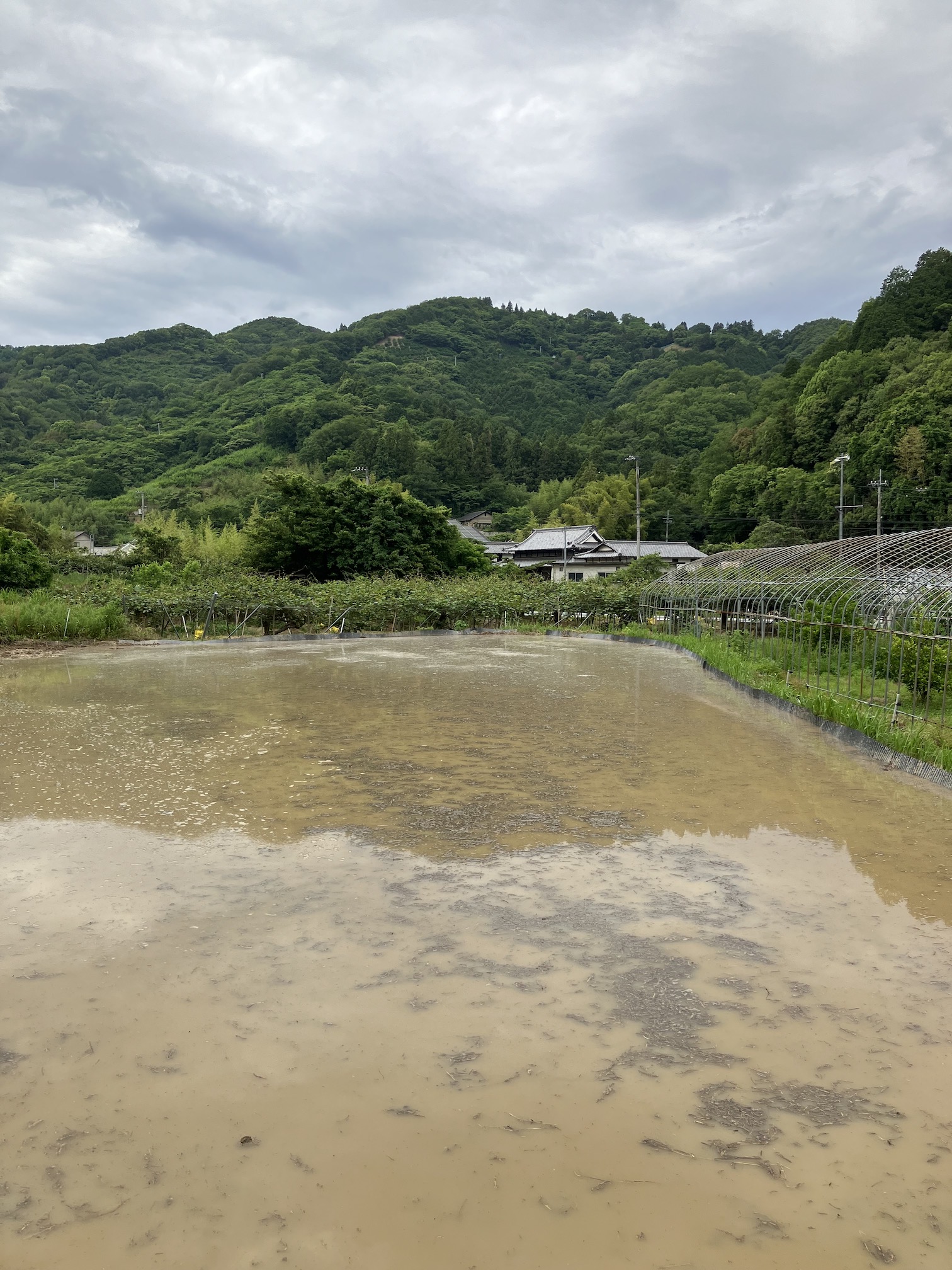 代掻き🧑🌾