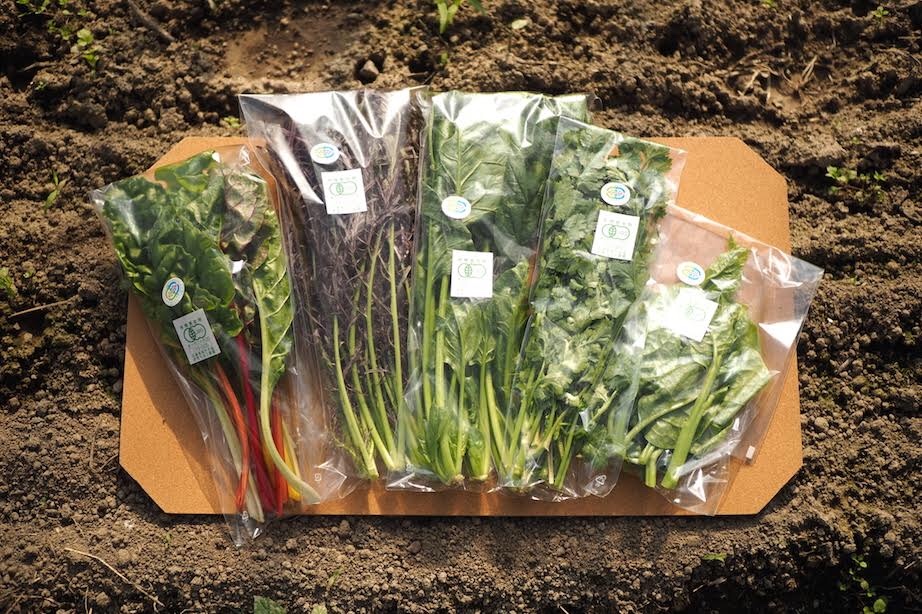 お野菜しっかりとれていますか！？