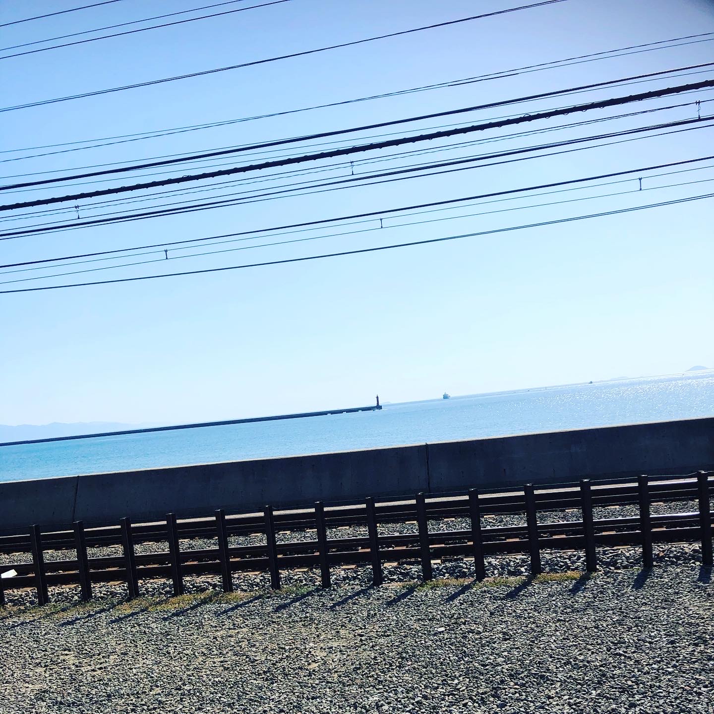 海も気持ちの良い季節に🌊